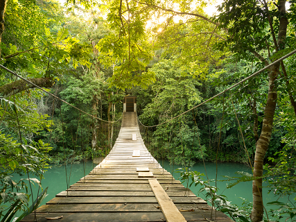 Proyecto BRIDGE